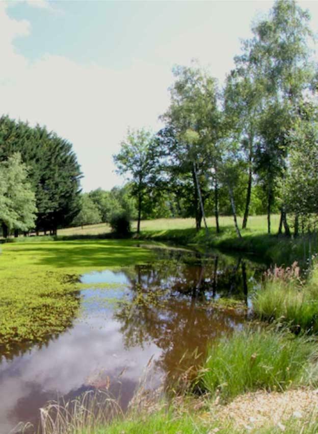 Domaine Des Grandes Landes Villa Saint-Paul-la-Roche Luaran gambar